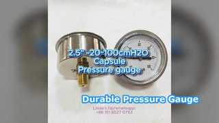 2,5" 60mm -20~100cmH2O Vỏ không gỉ + kết nối bằng đồng