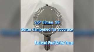 2,5" 63mm 0~1,6MPa/0~16kgf/cm2 Giảm chấn để đảm bảo độ chính xác Tất cả bằng thép không gỉ, quay số dọc, Lưỡi lê