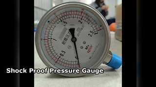 100mm 4"TẤT CẢ SS 0-2.5MPa