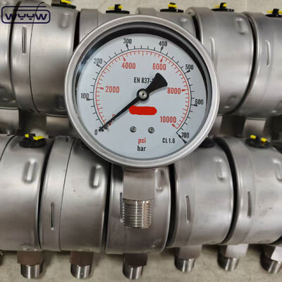 Đồng hồ đo áp suất mặt bích silicon/glycerin, mặt đồng hồ 100mm, gắn đáy, dùng cho ứng dụng công nghiệp