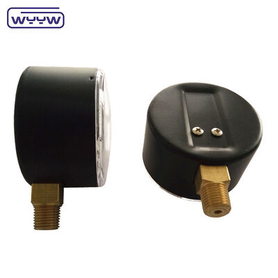 63mm 100mbar Case thép màu đen Capsule Pressure Gauge cho khí với mặt dưới gắn