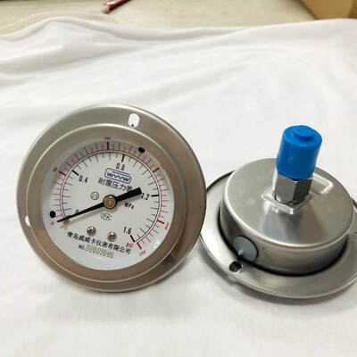 63mm 2.5 inch Panel Mount Liquid Filled Shock Resistant Pressure Gauge.